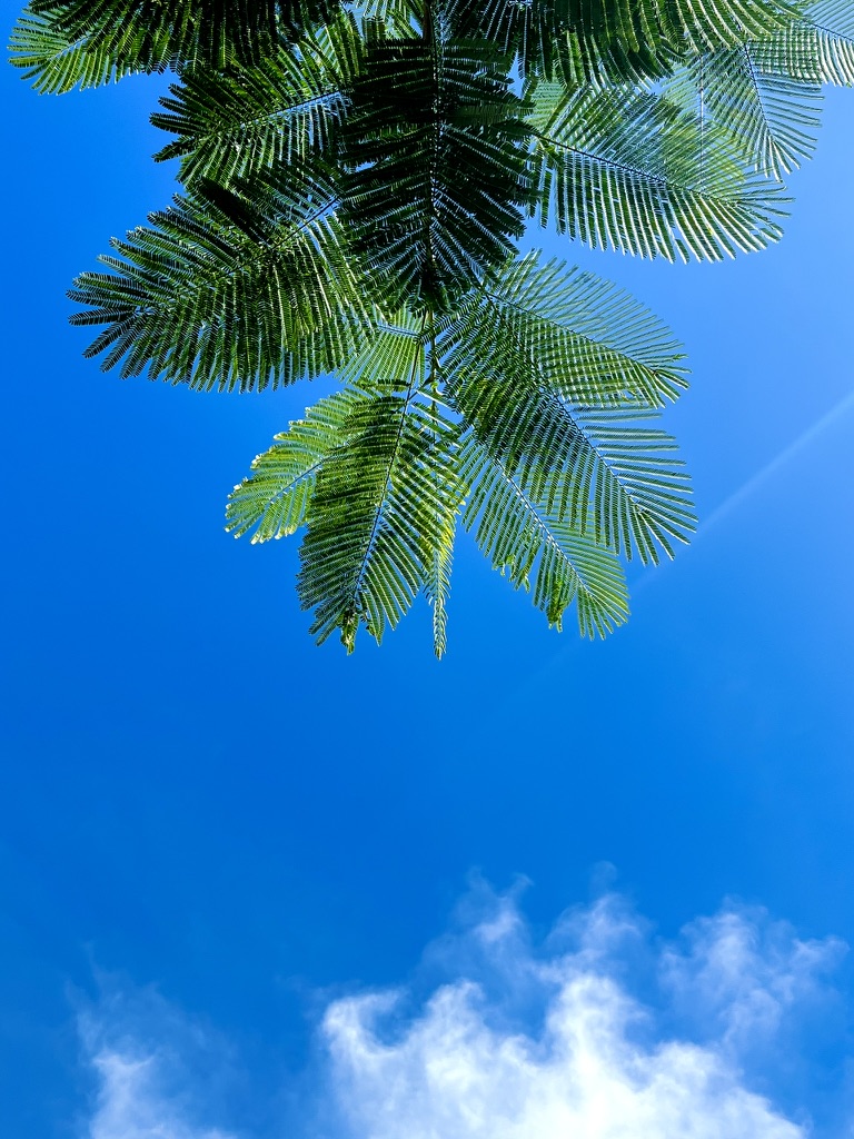 BLUE SKY