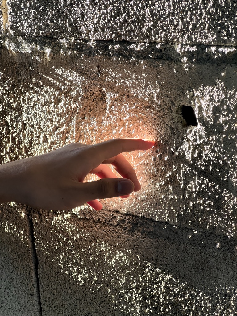 HAND AND SHADOW